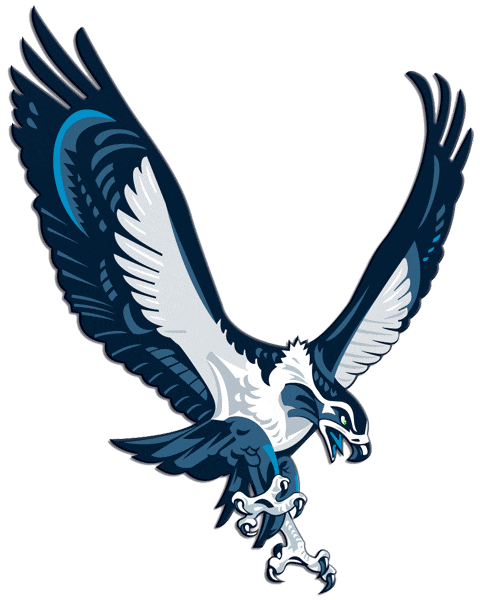 Seattle Seahawks 2002-2011 Alternate Logo iron on transfers for clothing